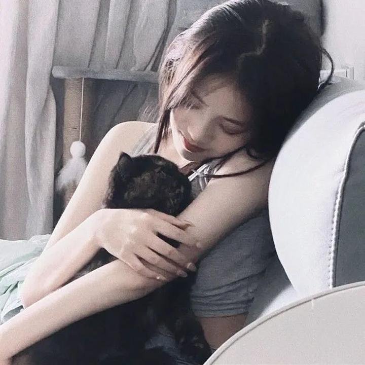 犬心犬意